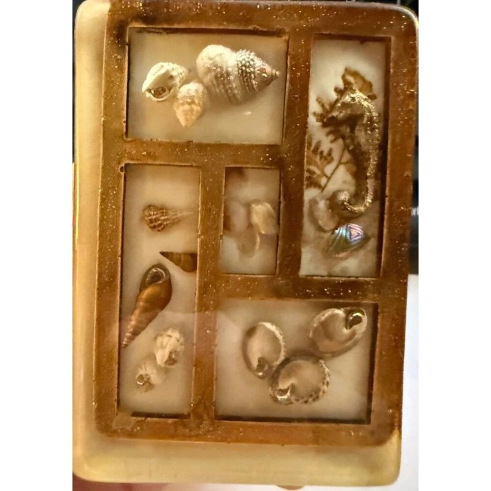 Vintage 1970s Resin Toothpick Holder Real Seashell Seahorse Lucite Retro Kitsch